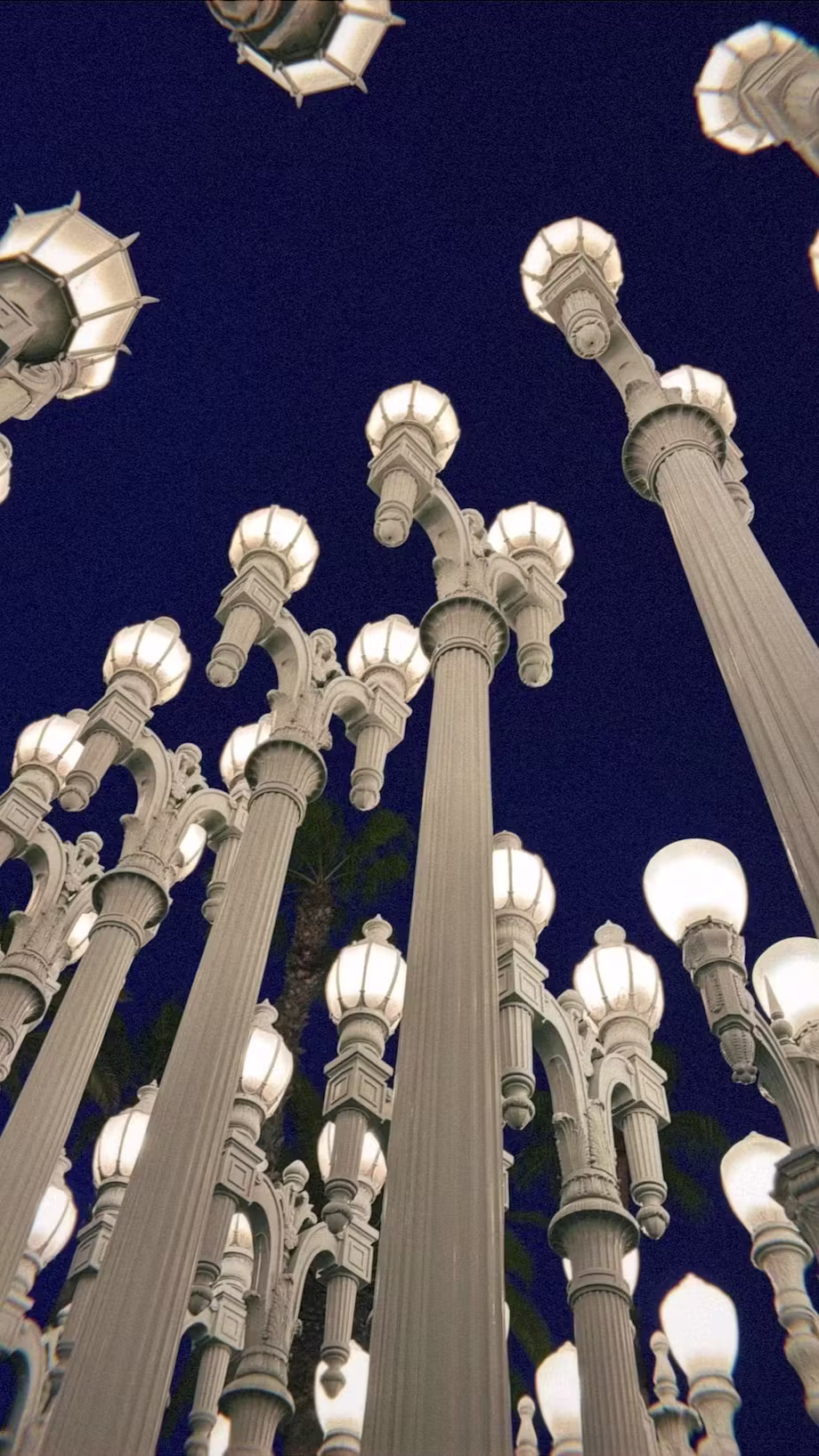 lacma-lights